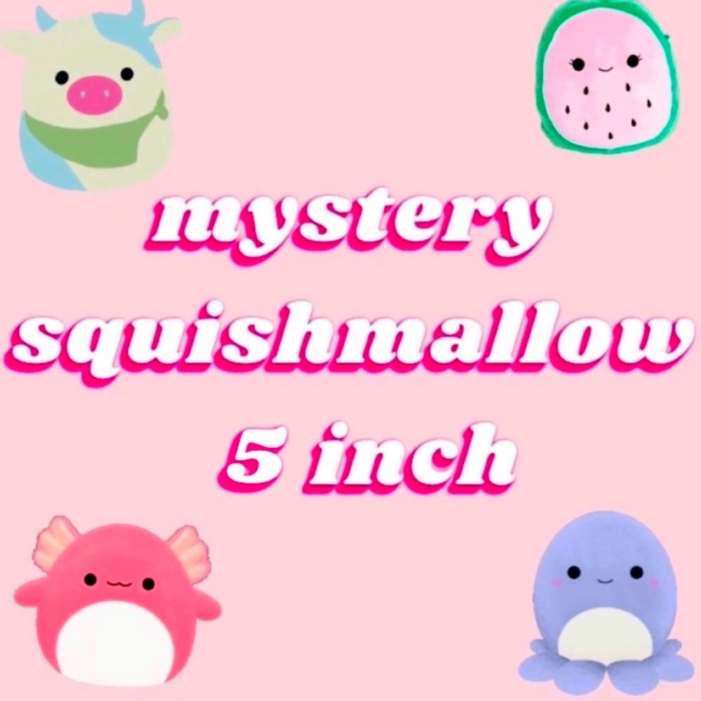 Mystery squishmallow 5 inch… Could be any type!